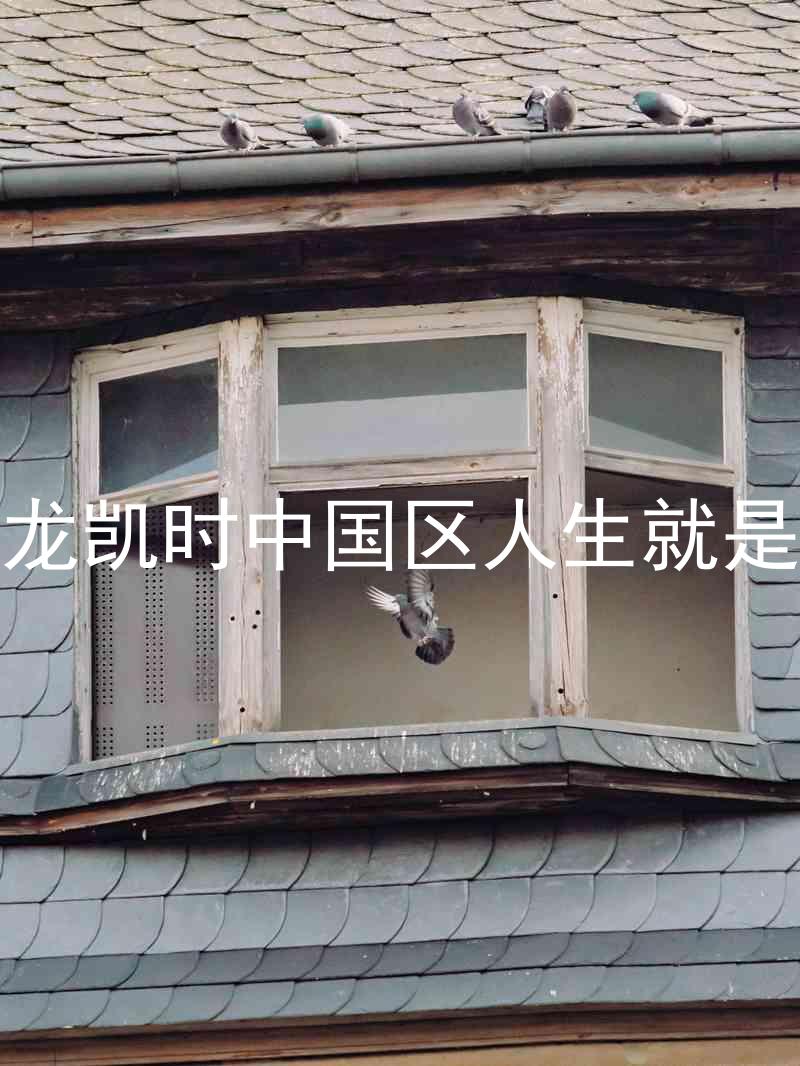 尊龙凯时中国区人生就是博